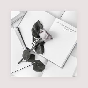 特色黄色性爱纲站
