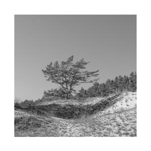 特色黄色性爱纲站
